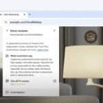 Google Chrome Rolls Out AI Store Review Feature